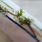 ιno 4* スキアトスタウン