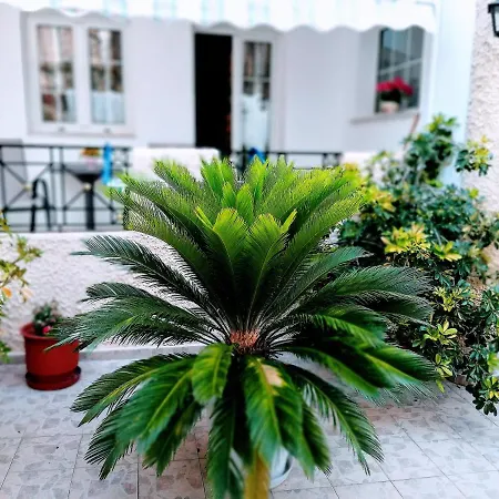 Pensiune ιno Skiathos